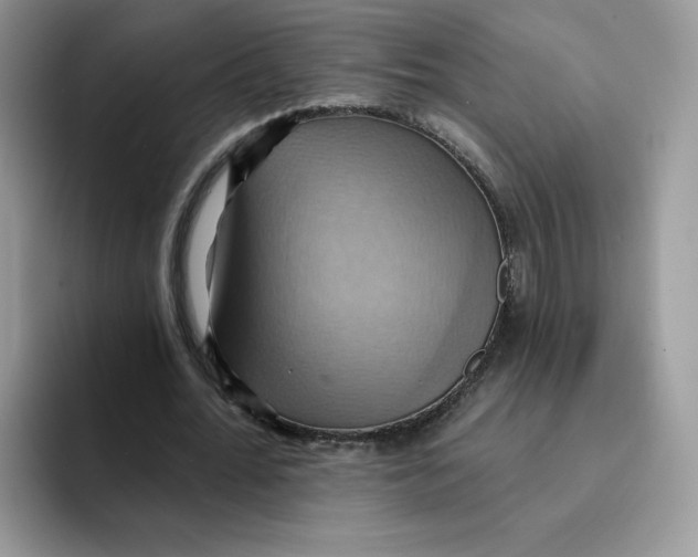 X0000091580676200709171116