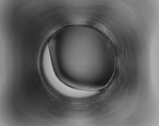 X0000091580677200709171116