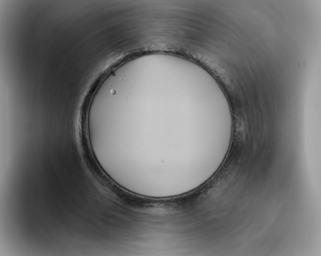 X0000091580678200709171116