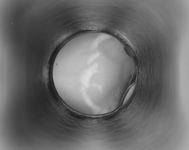 X0000091580679200709171116