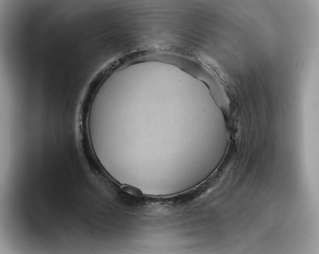 X0000091580680200709171116