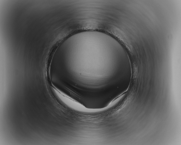X0000091580681200709171116