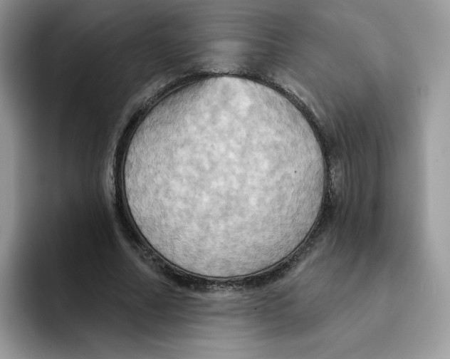 X0000091580682200709171116