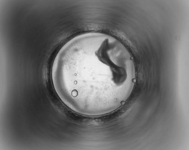 X0000091580683200709171116