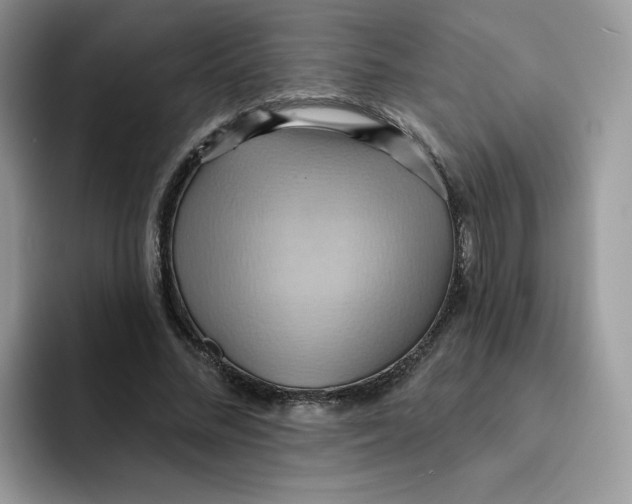 X0000091580684200709171116