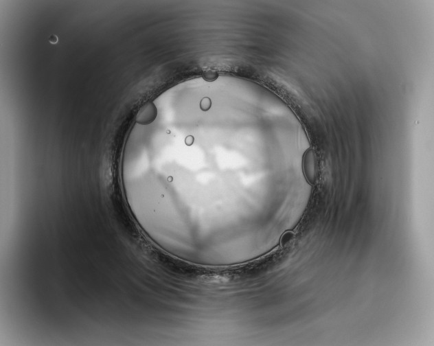 X0000091580687200709171116