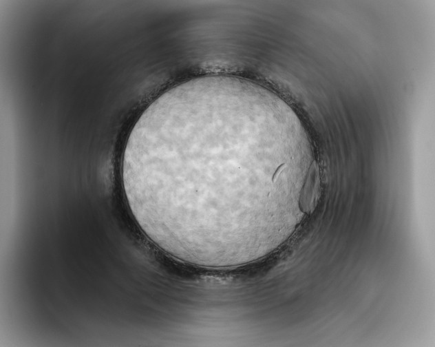 X0000091580690200709171116