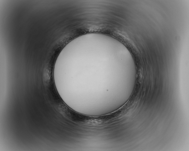 X0000091580691200709171116
