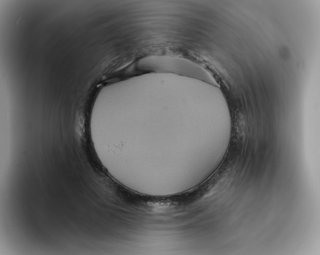 X0000091580693200709171116