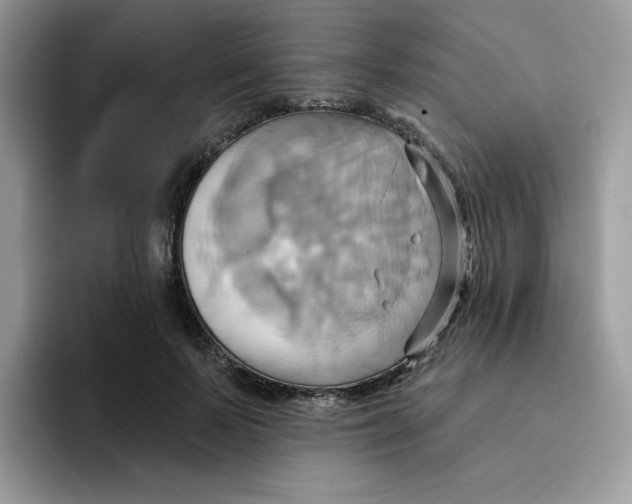 X0000091580695200709171116
