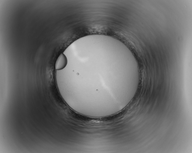 X0000091580699200709171116