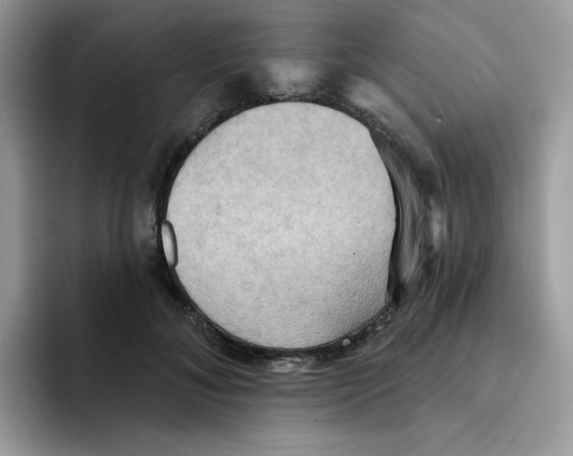 X0000091580700200709171116