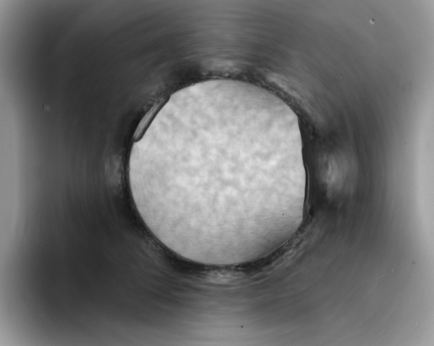 X0000091580708200709171116