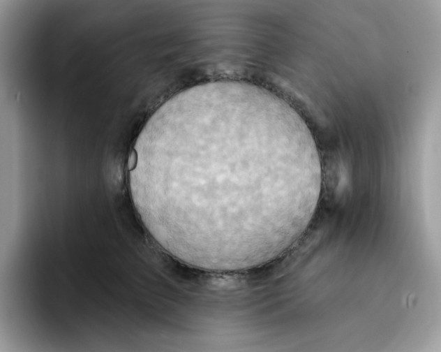 X0000091580709200709171116