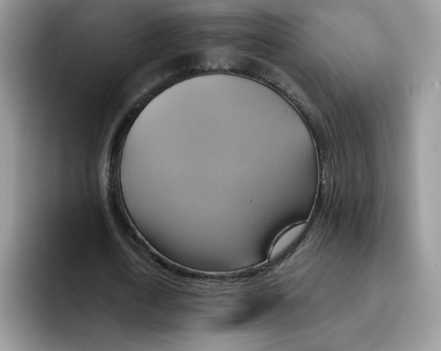 X0000091580722200709171115
