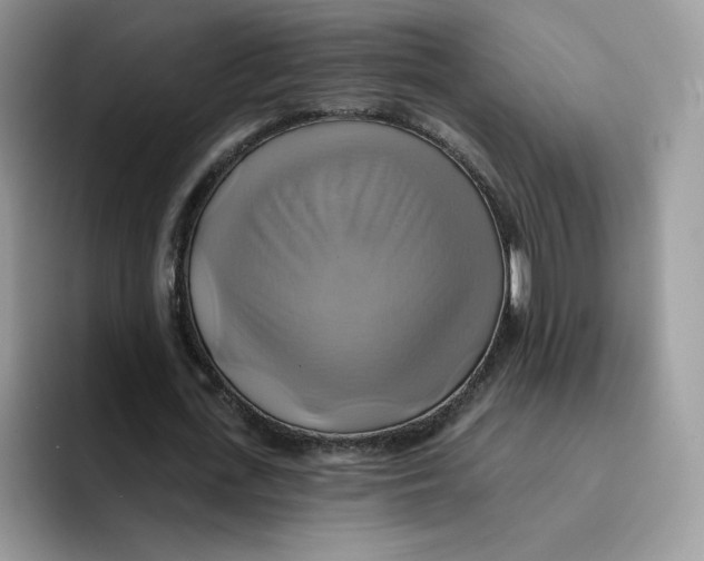 X0000091580723200709171115