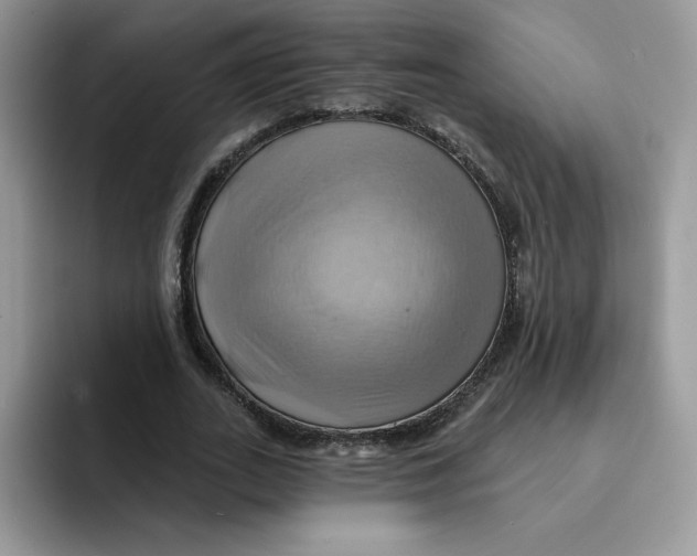 X0000091580727200709171115