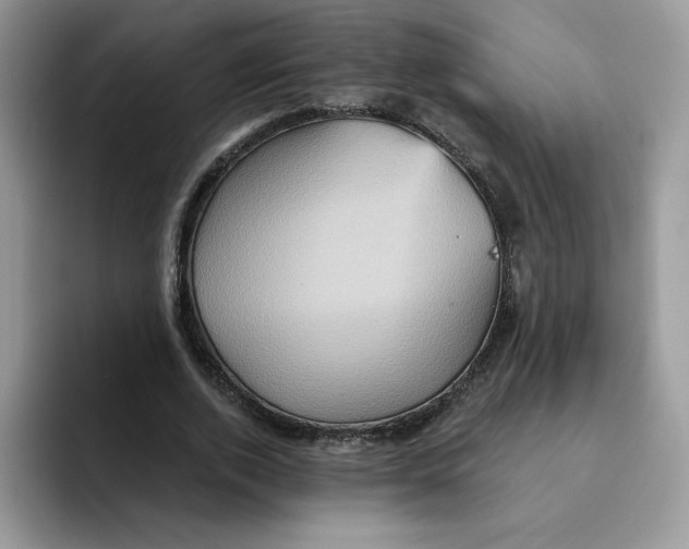 X0000091580728200709171115