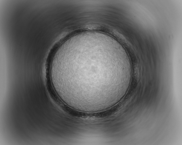 X0000091580730200709171115