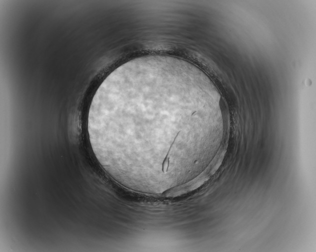 X0000091580731200709171115