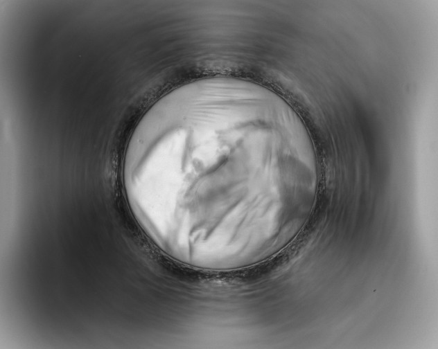X0000091580737200709171115