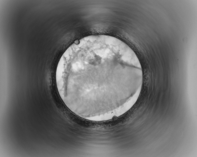 X0000091580738200709171115