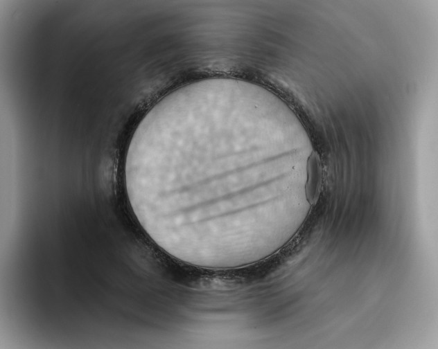 X0000091580739200709171115