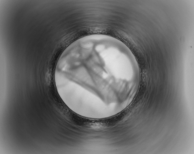 X0000091580741200709171115