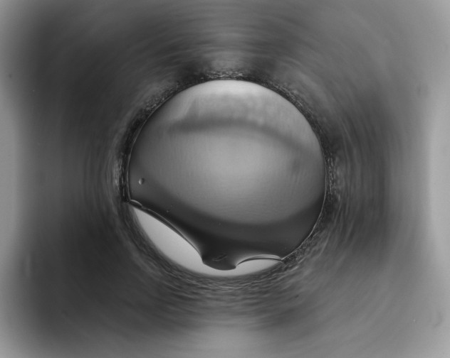 X0000091580742200709171115