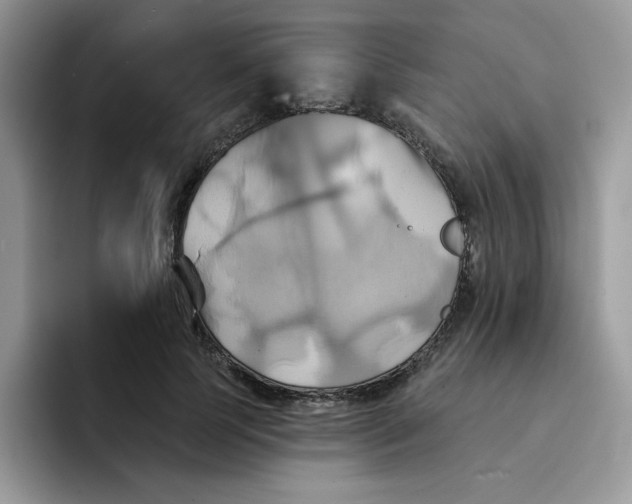 X0000091580745200709171115