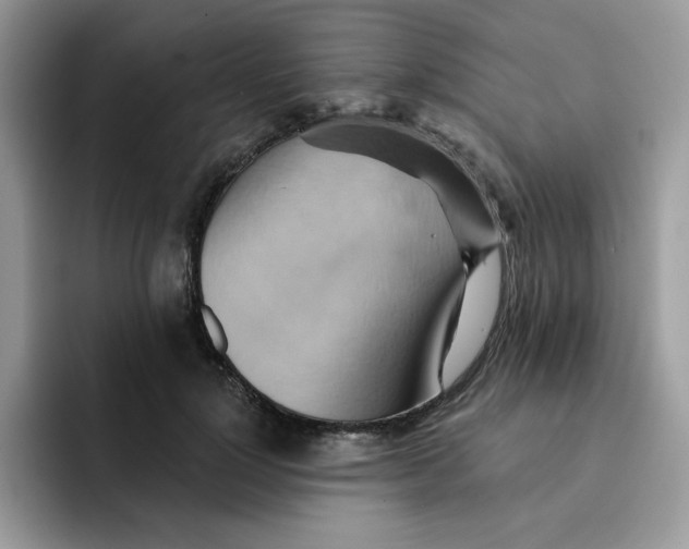 X0000091580748200709171115