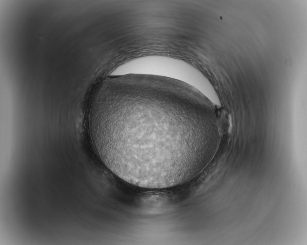 X0000091580750200709171115