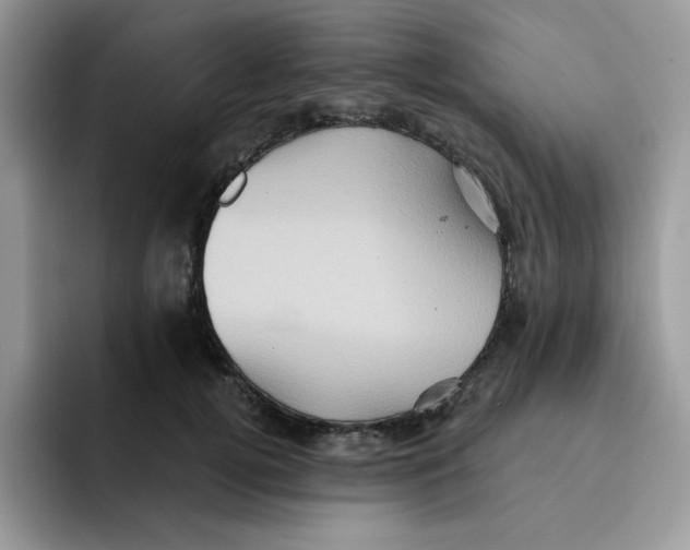 X0000091580752200709171115