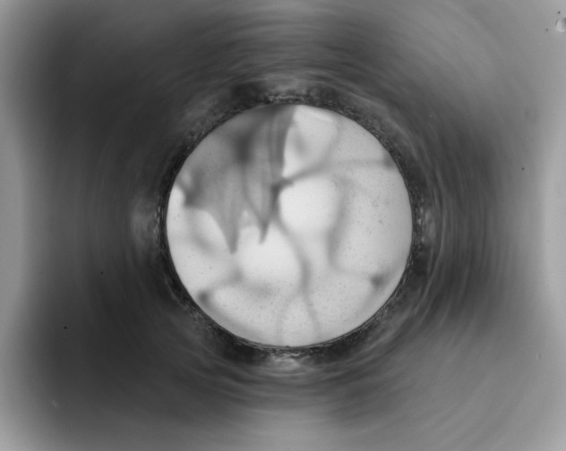 X0000091580753200709171115