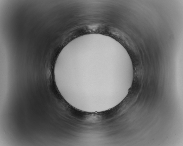 X0000091580754200709171115