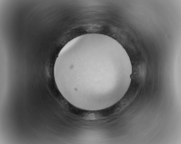 X0000091580755200709171115
