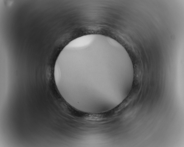 X0000091580758200709171115