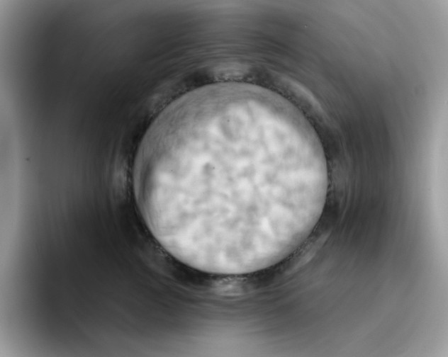 X0000091580761200709171115