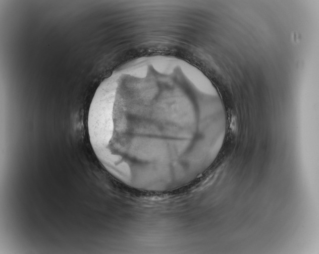 X0000091580771200709171115