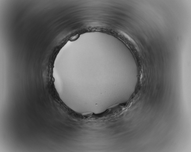 X0000091580775200709171115