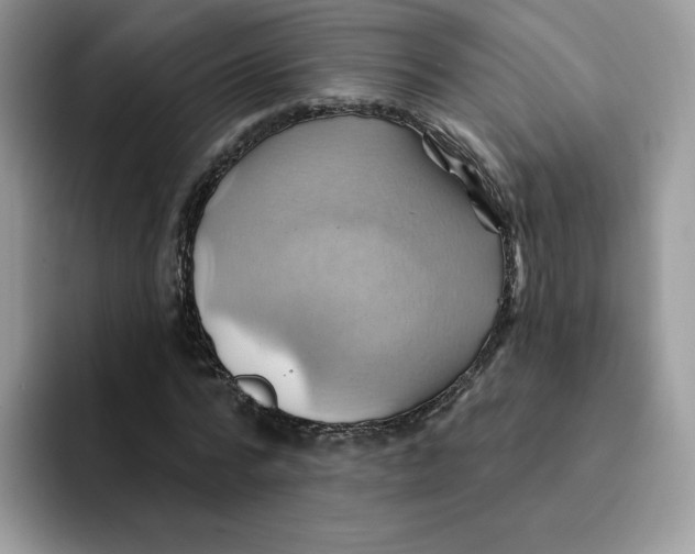 X0000091580776200709171115