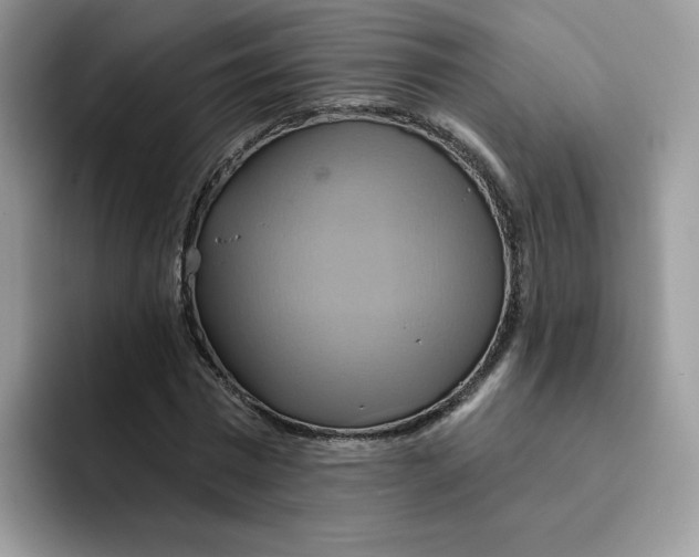 X0000091580777200709171115