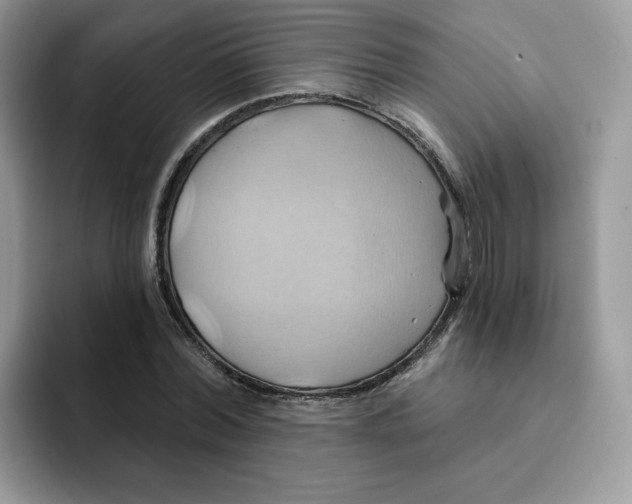X0000091580780200709171115