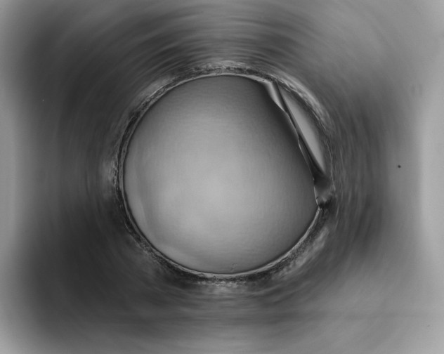 X0000091580785200709171115