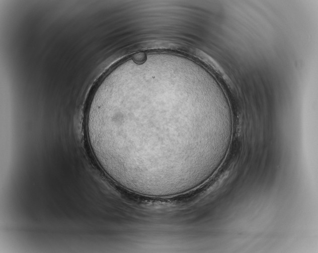 X0000091580786200709171115