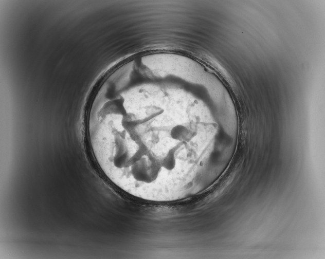 X0000091580787200709171115