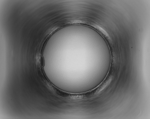 X0000091580793200709171115