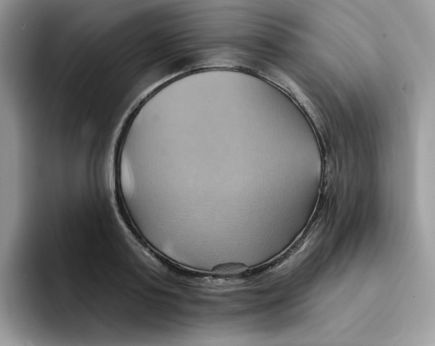 X0000091580795200709171115