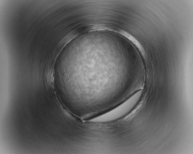 X0000091580809200709171114