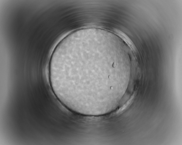 X0000091580812200709171114